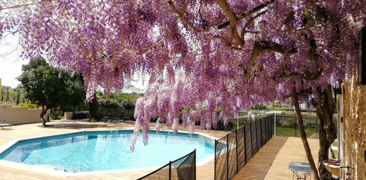 Chateau Montplaisir Charming B&B In Provence Valréas Εξωτερικό φωτογραφία